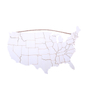 LASER BURNED UNITED STATES