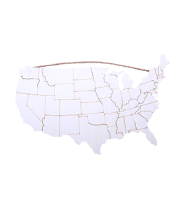 LASER BURNED UNITED STATES