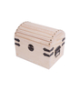 TRUNK CHEST SM